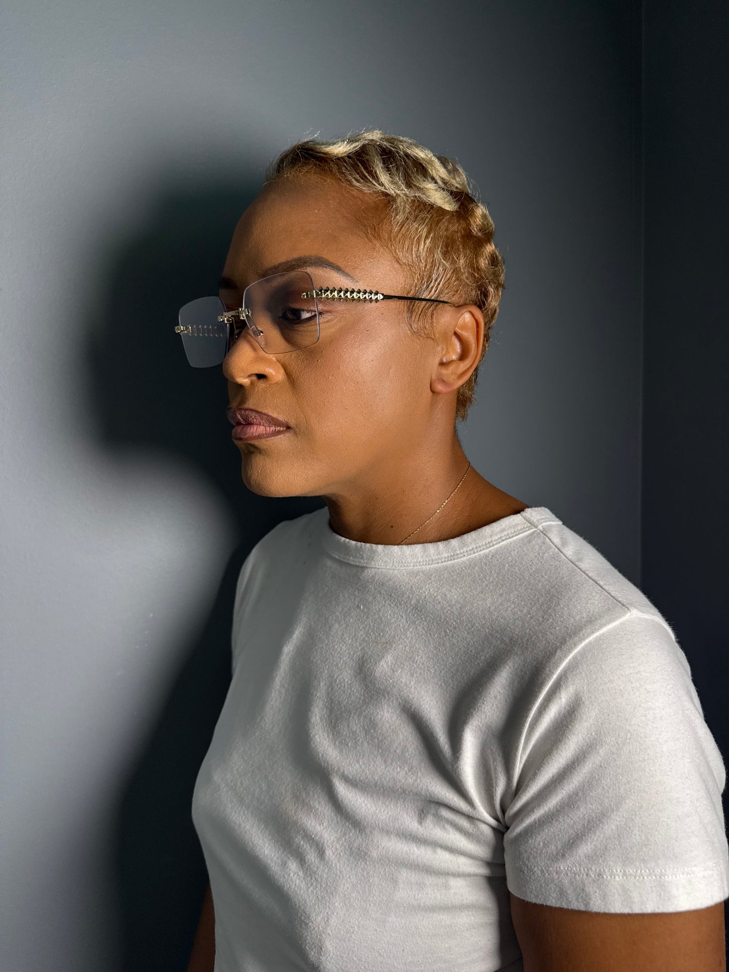 Skyline Luxe Rimless Sunglasses