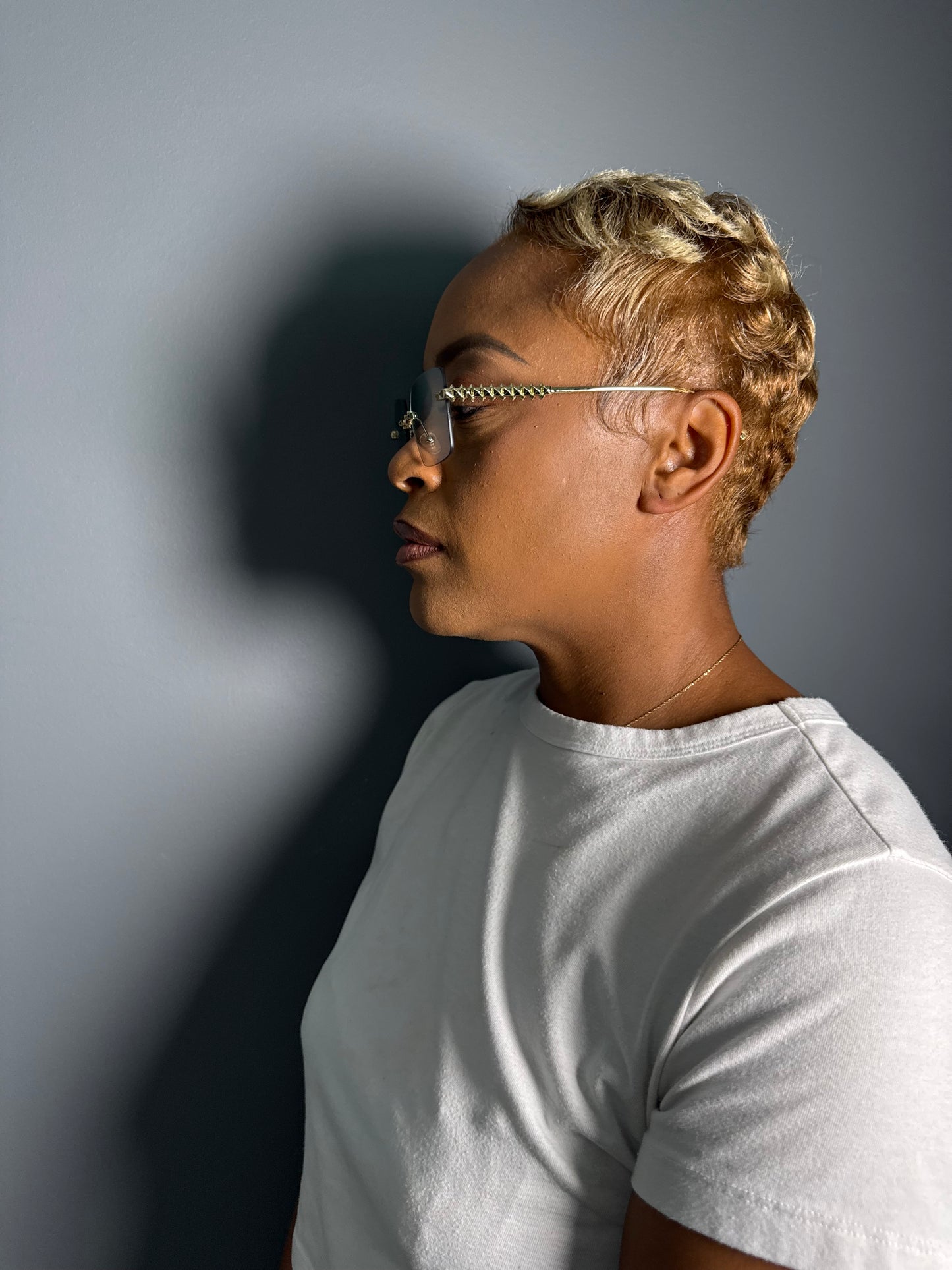Skyline Luxe Rimless Sunglasses